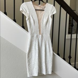 Dress the Population Sequin Dress